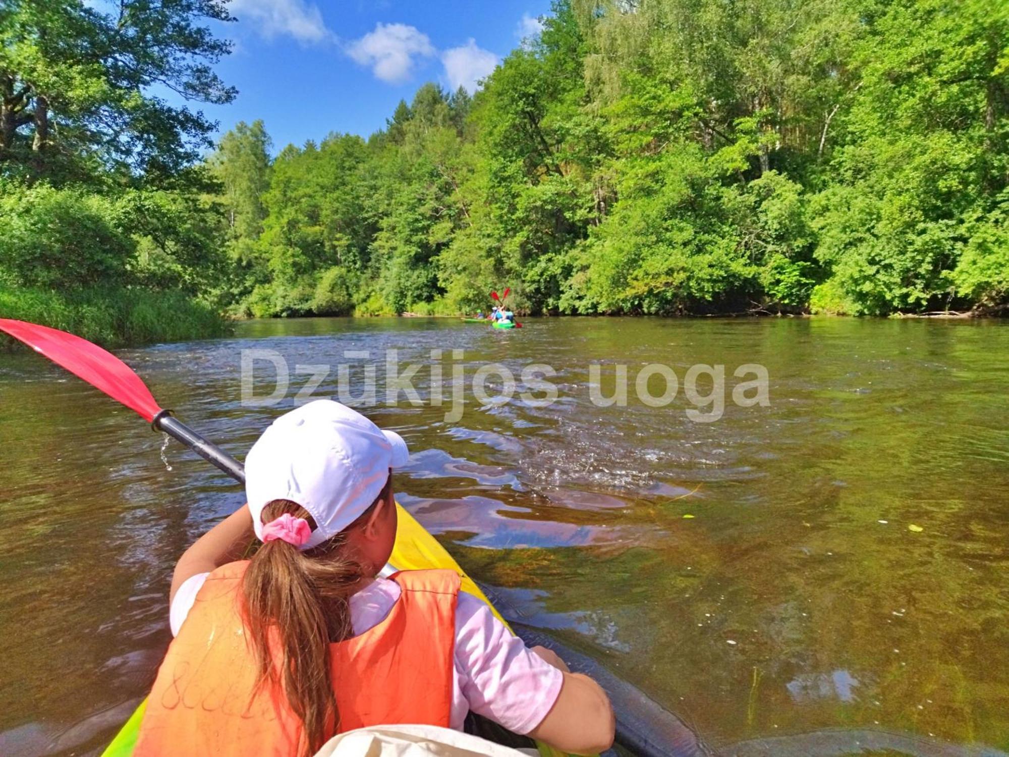 Dzukijos Uoga Guest House Virsurodukis ภายนอก รูปภาพ
